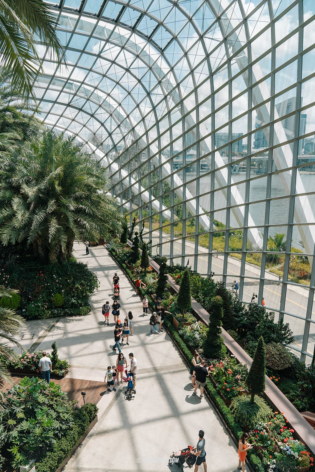 รีวิว Gardens By The Bay / Flower Dome และ Cloud Forest สิงคโปร์