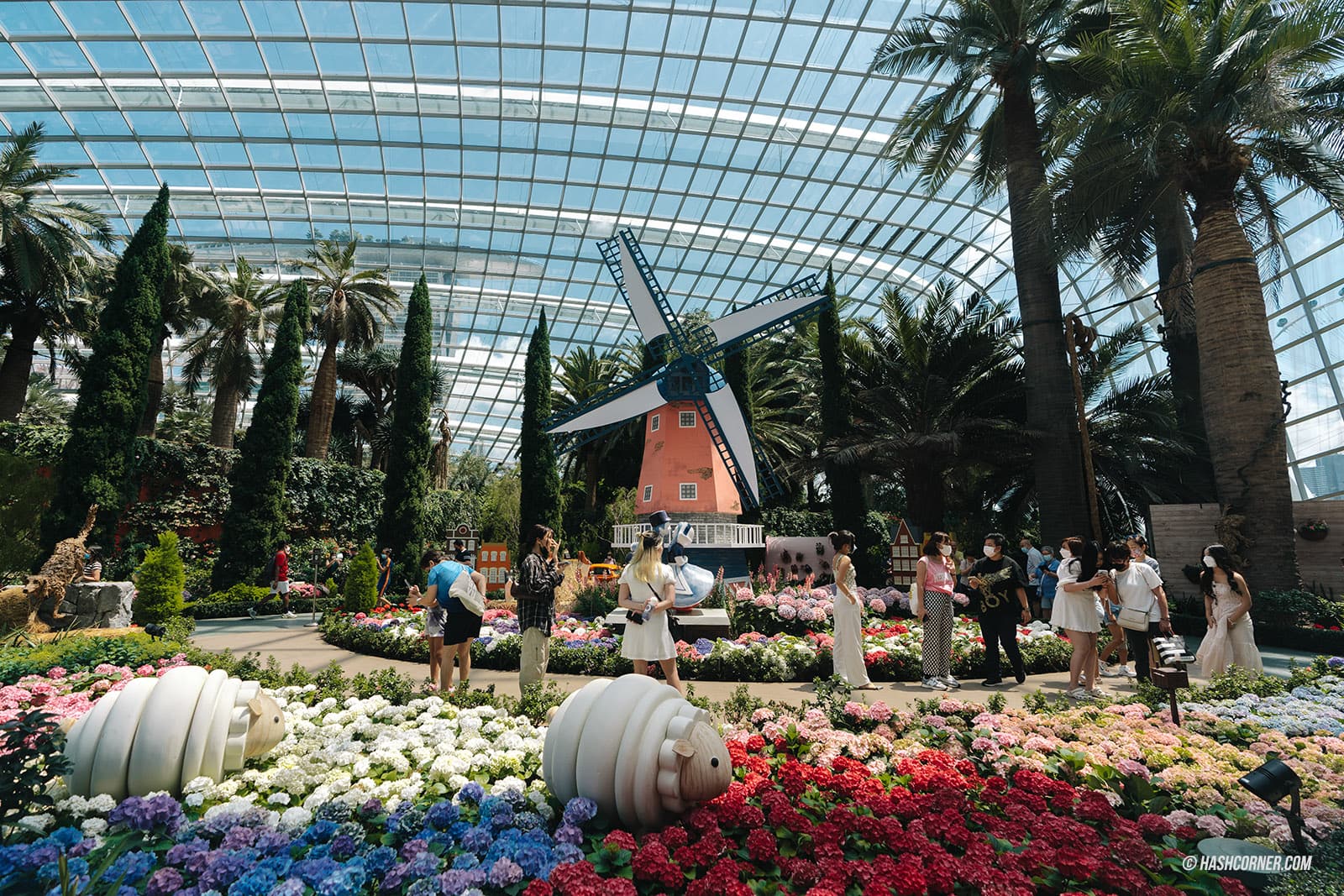 รีวิว Gardens By The Bay / Flower Dome และ Cloud Forest สิงคโปร์