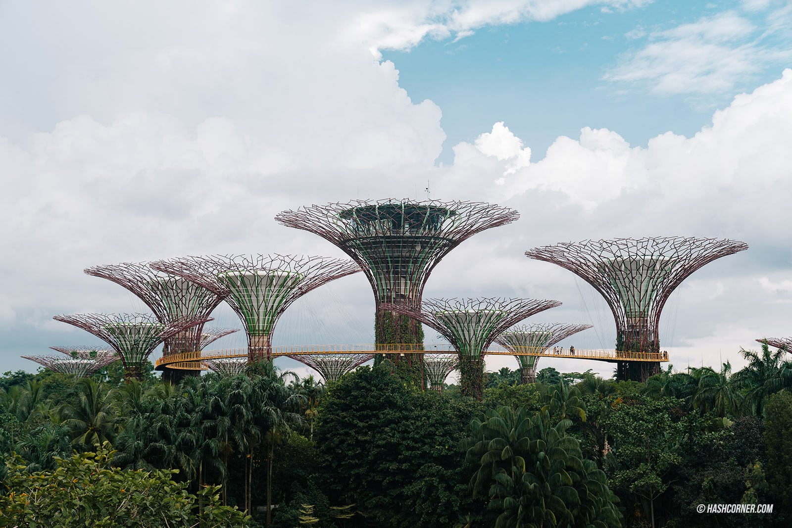 รีวิว Gardens By The Bay / Flower Dome และ Cloud Forest สิงคโปร์