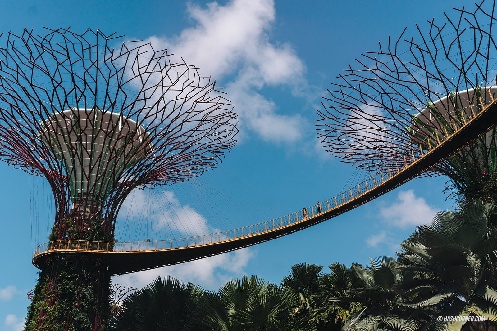 รีวิว Gardens By The Bay / Flower Dome และ Cloud Forest สิงคโปร์