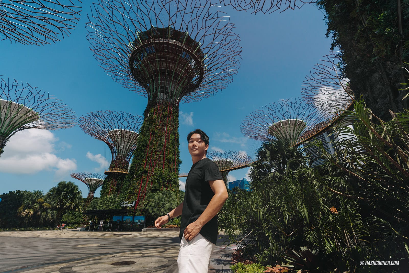 รีวิว Gardens By The Bay / Flower Dome และ Cloud Forest สิงคโปร์