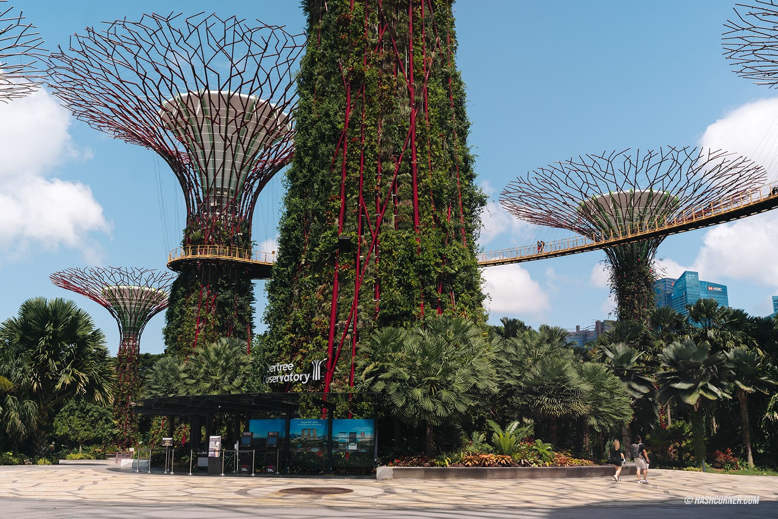 รีวิว Gardens By The Bay / Flower Dome และ Cloud Forest สิงคโปร์