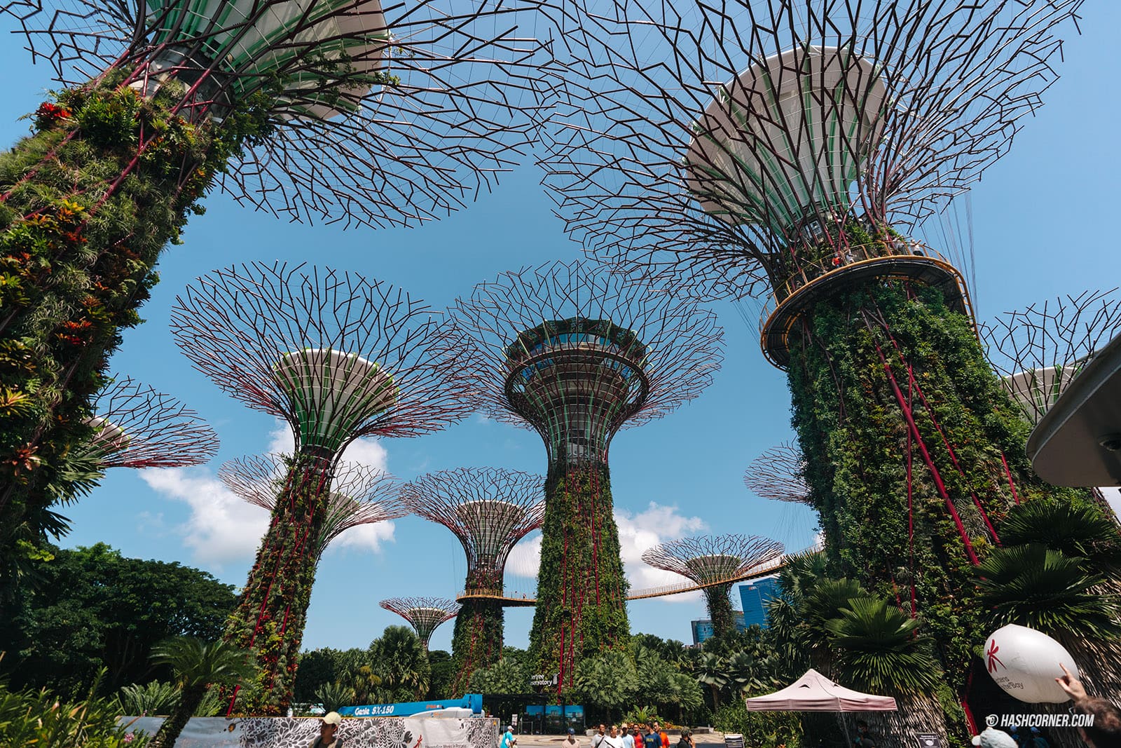 รีวิว Gardens By The Bay / Flower Dome และ Cloud Forest สิงคโปร์