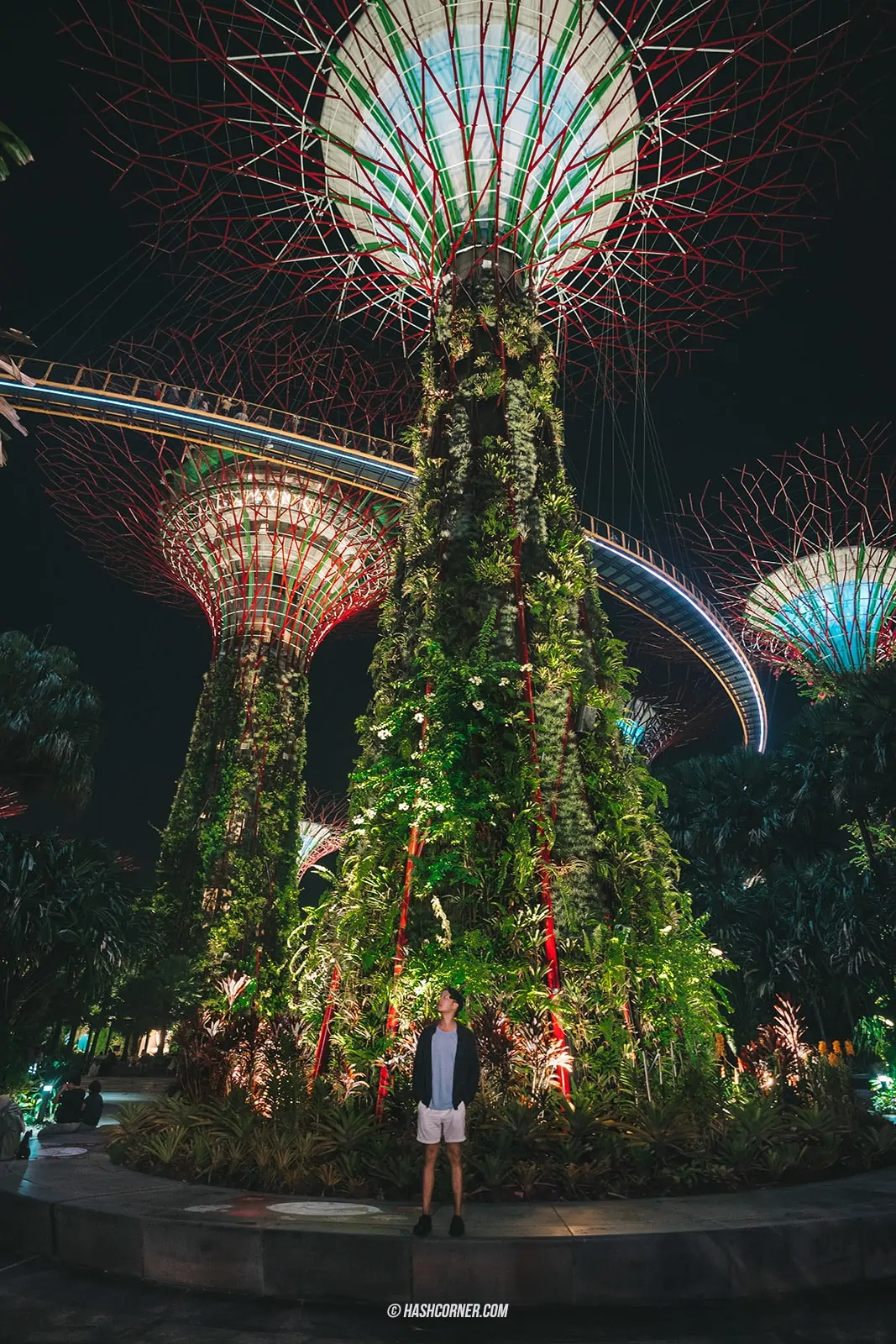 รีวิว Gardens By The Bay / Flower Dome และ Cloud Forest สิงคโปร์