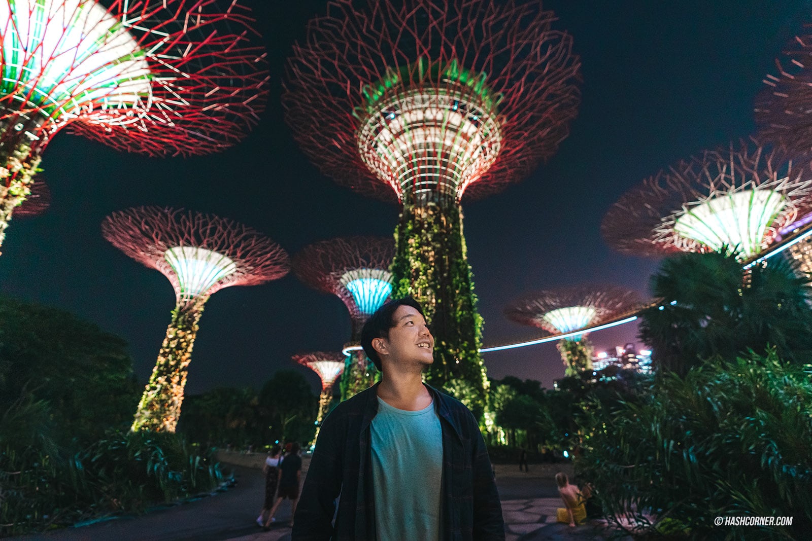 รีวิว Gardens By The Bay / Flower Dome และ Cloud Forest สิงคโปร์