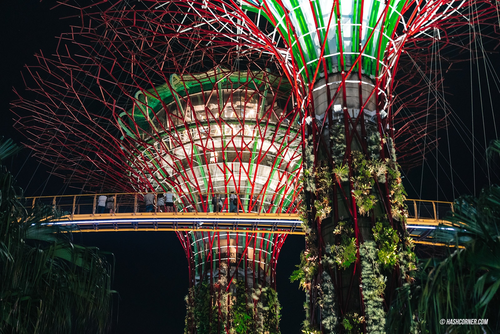 รีวิว Gardens By The Bay / Flower Dome และ Cloud Forest สิงคโปร์