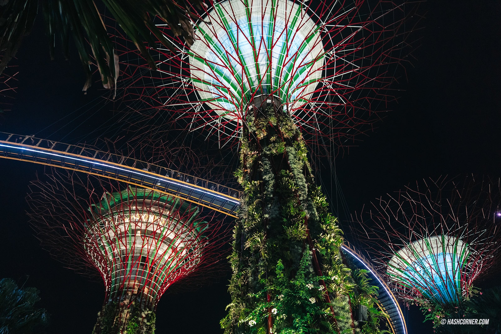 รีวิว Gardens By The Bay / Flower Dome และ Cloud Forest สิงคโปร์