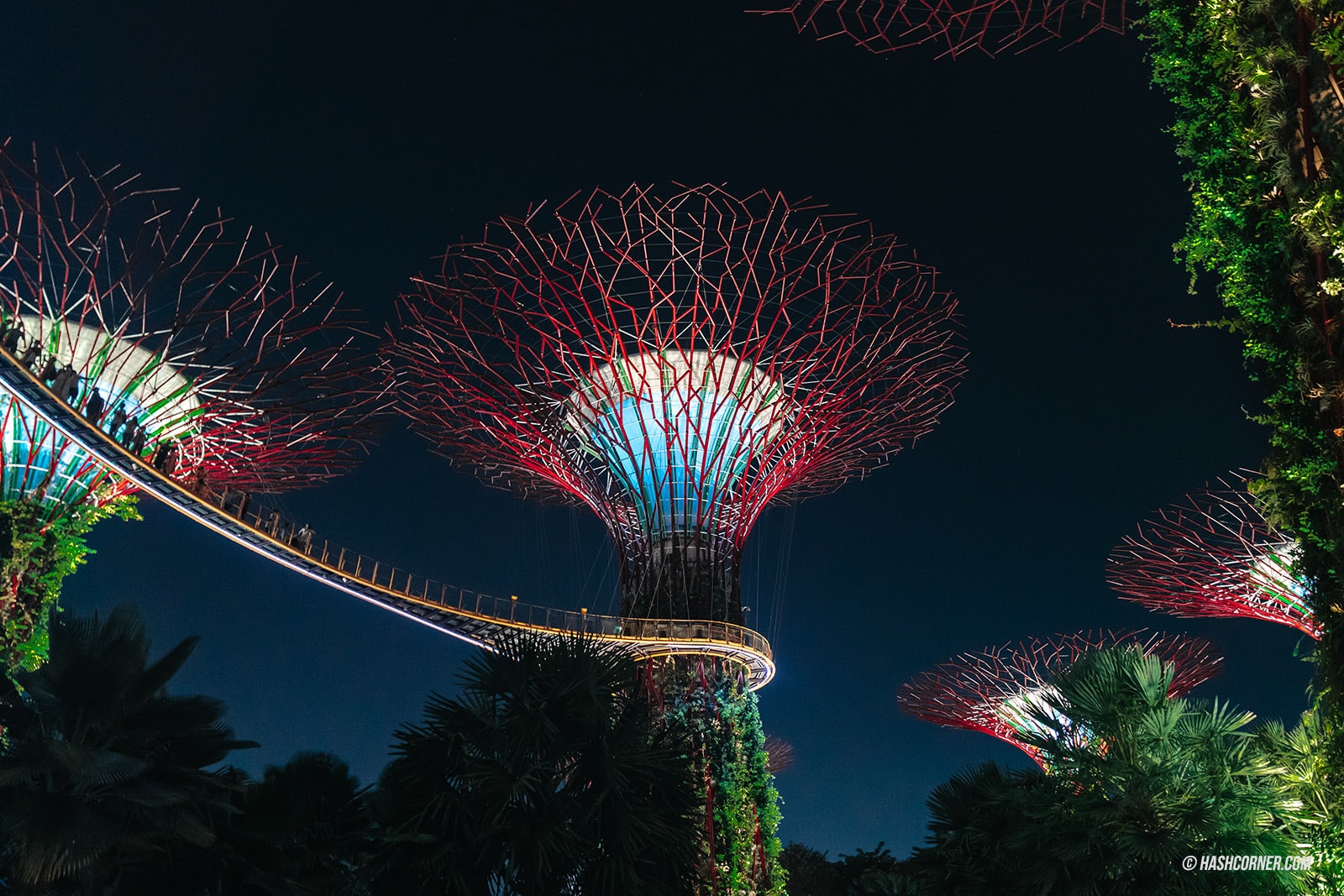 รีวิว Gardens By The Bay / Flower Dome และ Cloud Forest สิงคโปร์