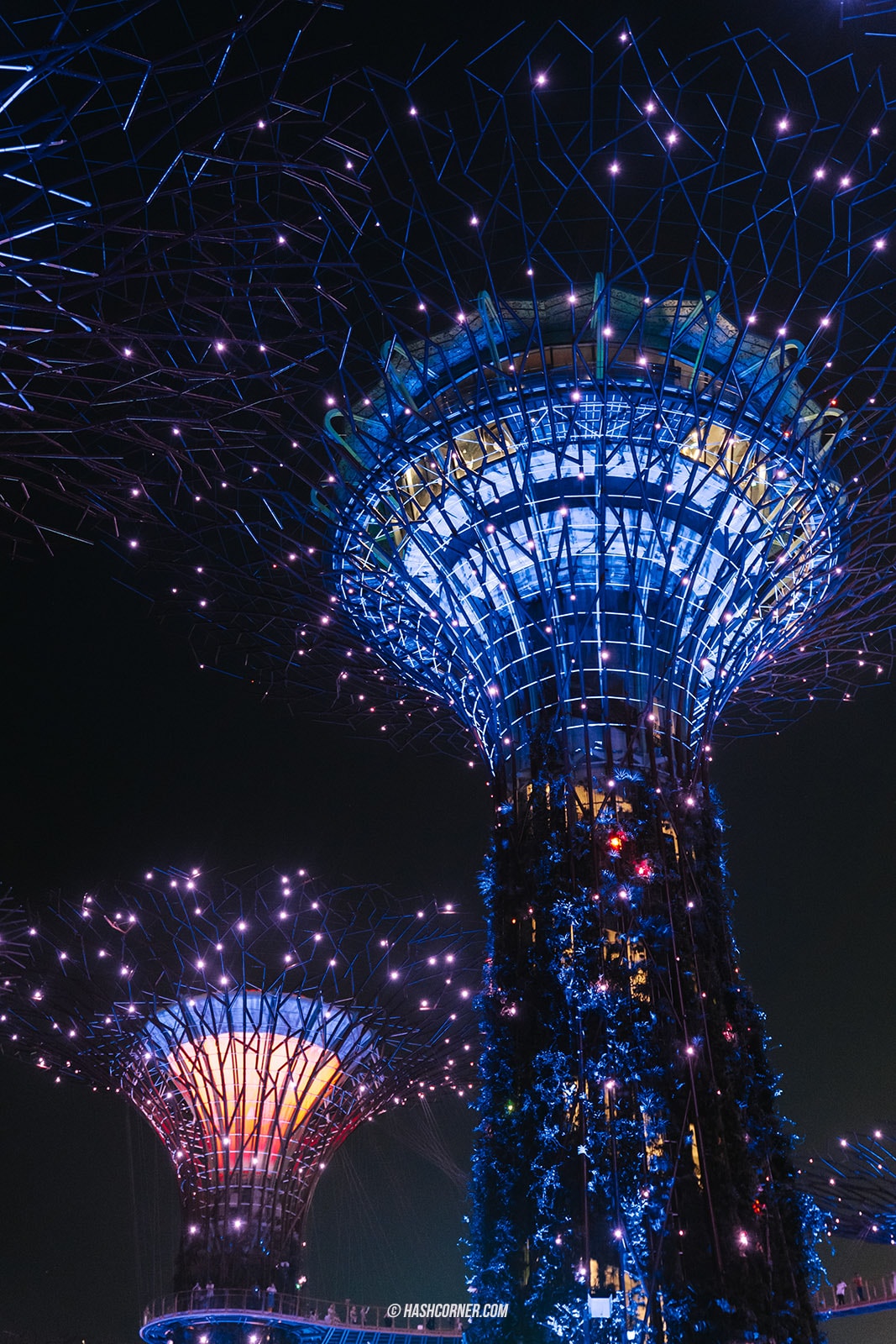 รีวิว Gardens By The Bay / Flower Dome และ Cloud Forest สิงคโปร์