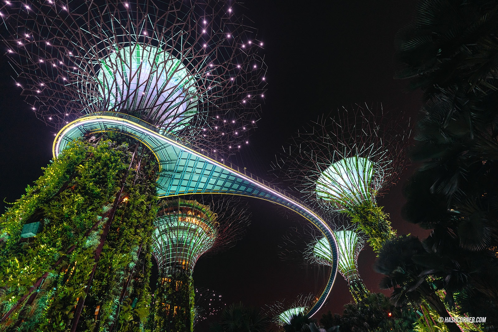 รีวิว Gardens By The Bay / Flower Dome และ Cloud Forest สิงคโปร์