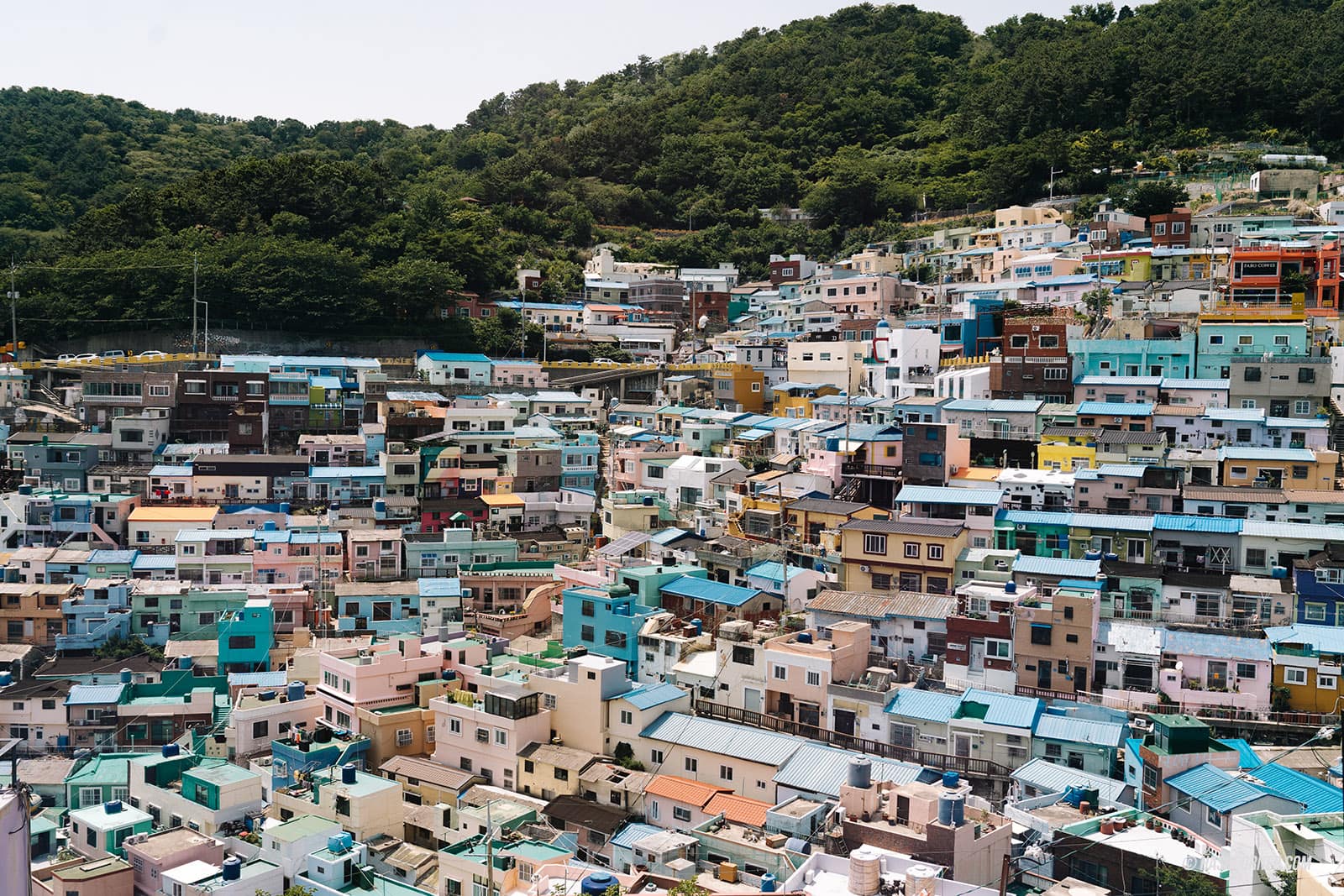 รีวิว หมู่บ้านวัฒนธรรมคัมชอน (Gamcheon Culture Village) x ปูซาน หมู่บ้านสุดคิวท์ที่ต้องมา