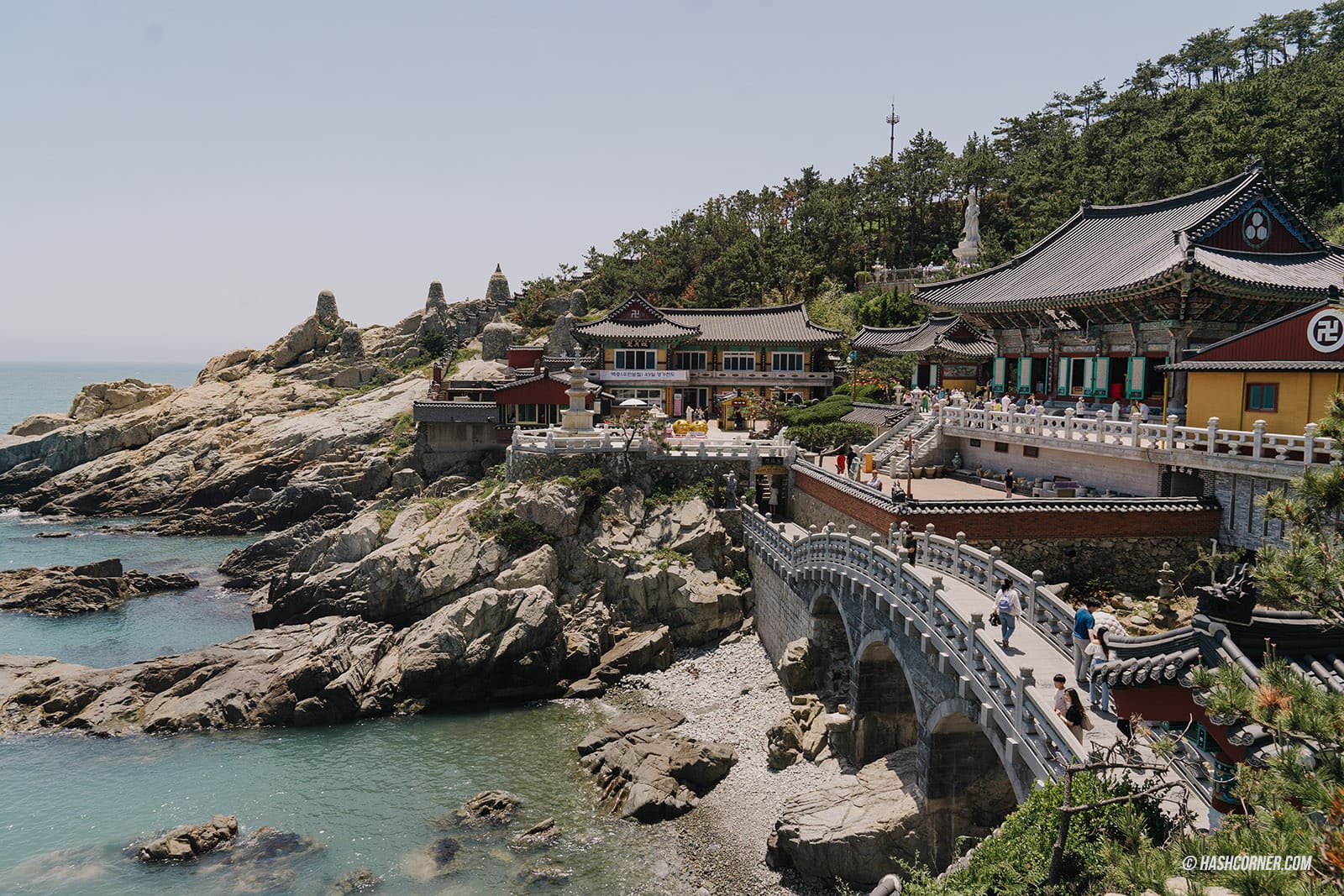 รีวิว ปูซาน (Busan) x เกาหลี นั่งรถไฟปุ๊กปิ๊ดเที่ยวเมืองทะเล