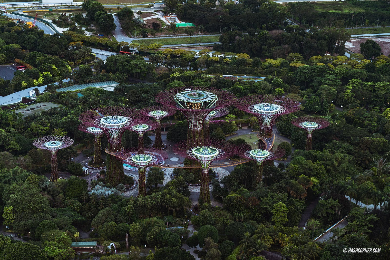 รีวิว Gardens By The Bay / Flower Dome และ Cloud Forest สิงคโปร์