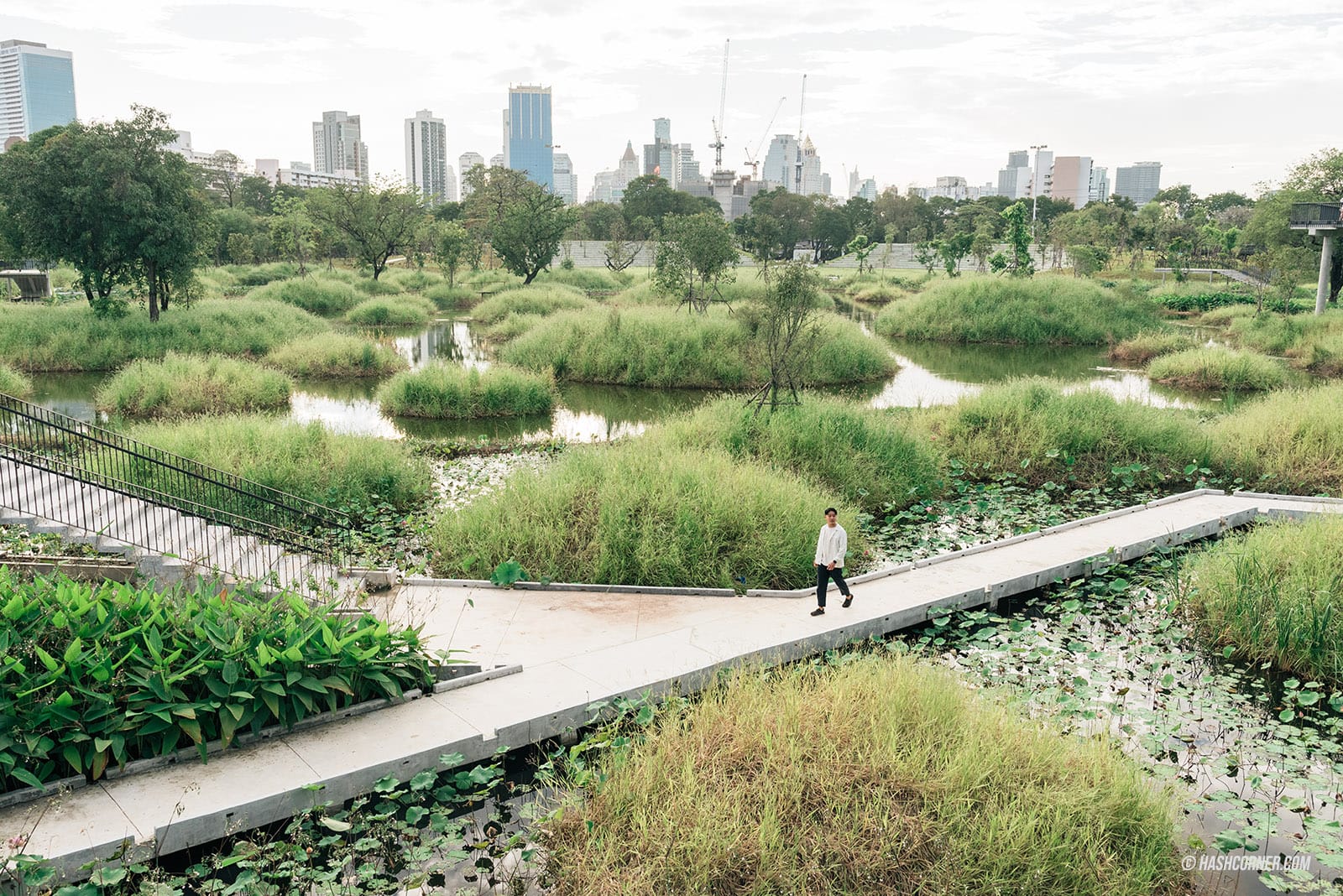 รีวิว 6 สวนสาธารณะ x กรุงเทพ เขียวๆ ดีต่อใจ