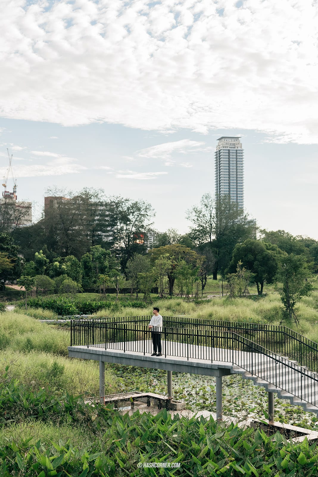 รีวิว 6 สวนสาธารณะ x กรุงเทพ เขียวๆ ดีต่อใจ