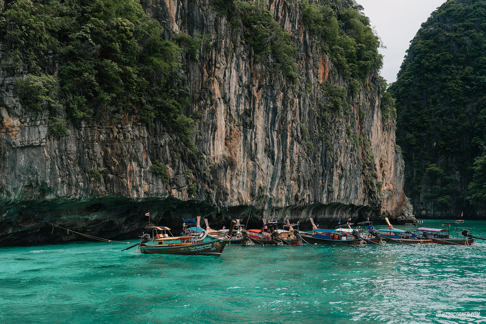 รีวิว เกาะพีพี x กระบี่ เดย์ทริปเที่ยวดำน้ำ-ดูปะการัง