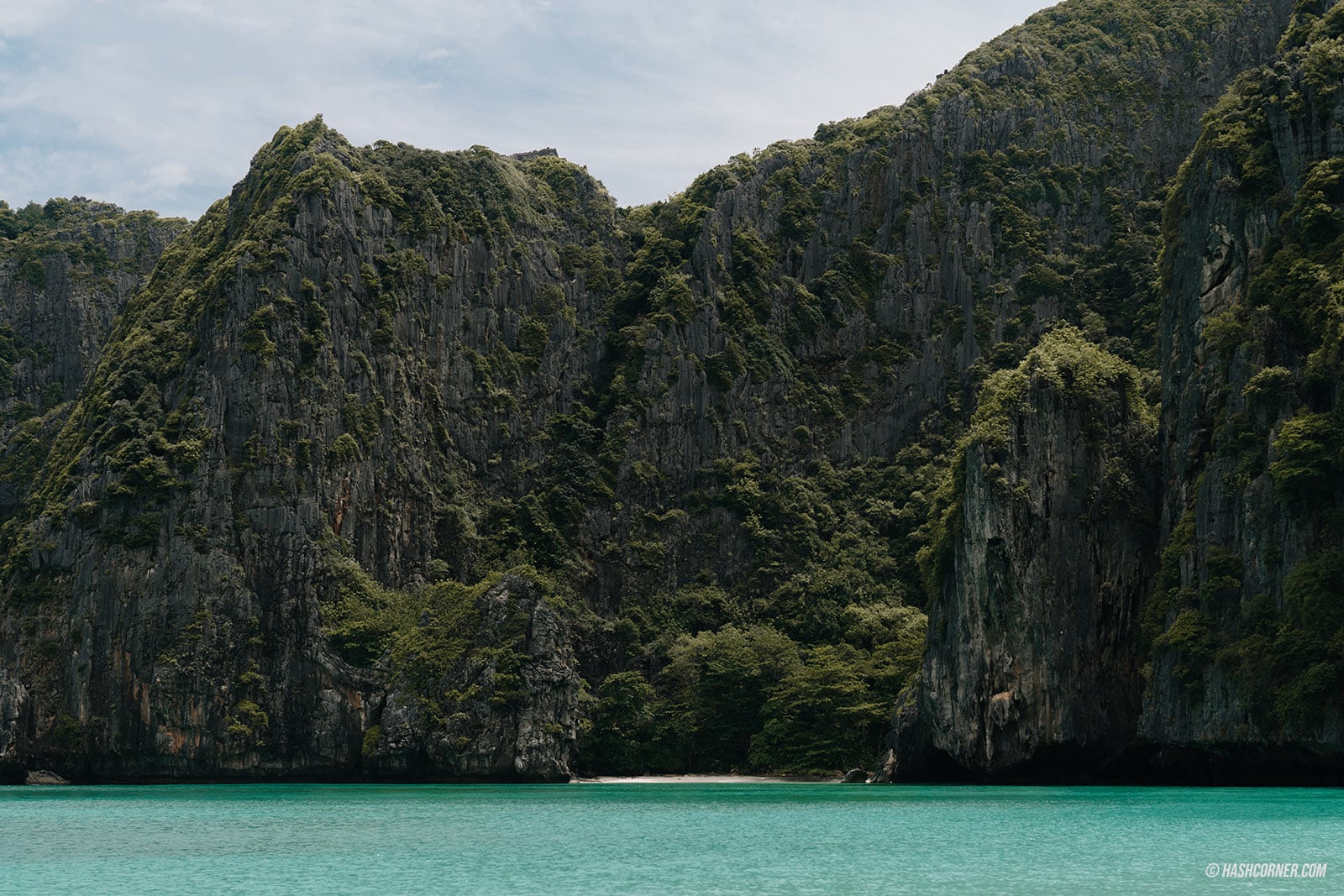 รีวิว เกาะพีพี x กระบี่ เดย์ทริปเที่ยวดำน้ำ-ดูปะการัง