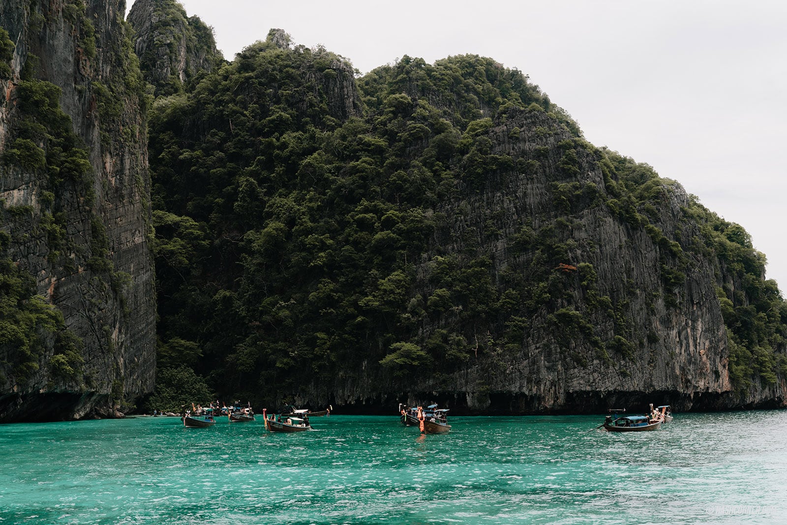 รีวิว เกาะพีพี x กระบี่ เดย์ทริปเที่ยวดำน้ำ-ดูปะการัง