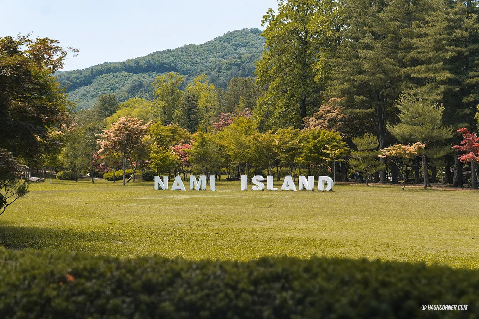 รีวิว เกาะนามิ (Nami Island) x เกาหลี เที่ยวตามรอยเพลงรักสายลมหนาว