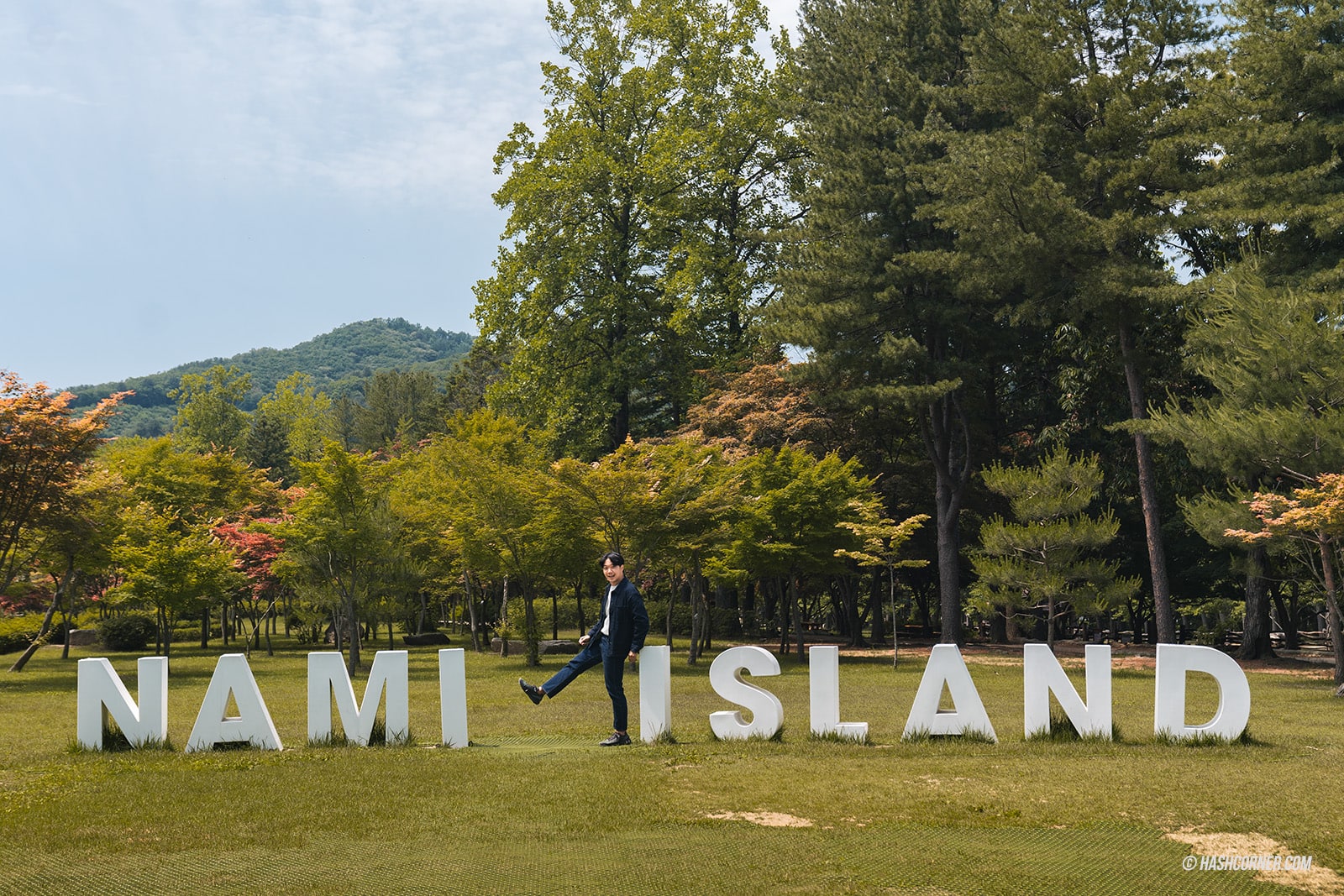 รีวิว เกาะนามิ (Nami Island) x เกาหลี เที่ยวตามรอยเพลงรักสายลมหนาว