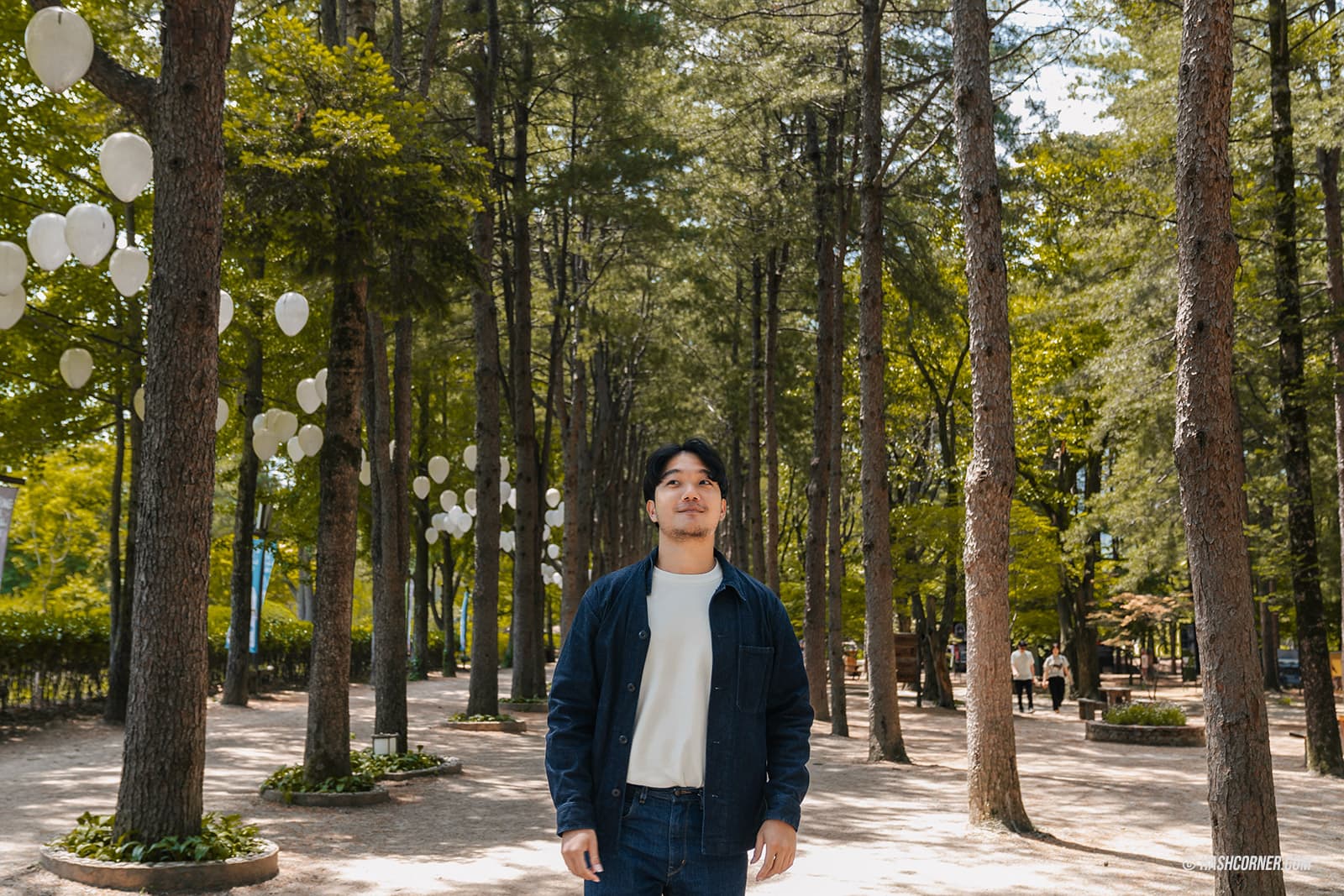 รีวิว เกาะนามิ (Nami Island) x เกาหลี เที่ยวตามรอยเพลงรักสายลมหนาว