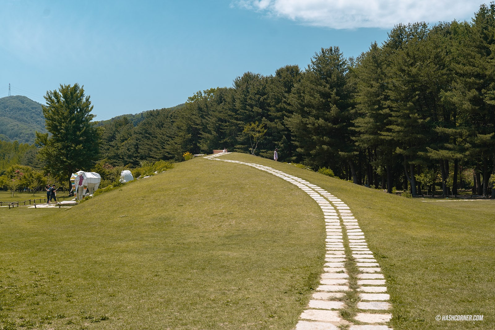 รีวิว เกาะนามิ (Nami Island) x เกาหลี เที่ยวตามรอยเพลงรักสายลมหนาว