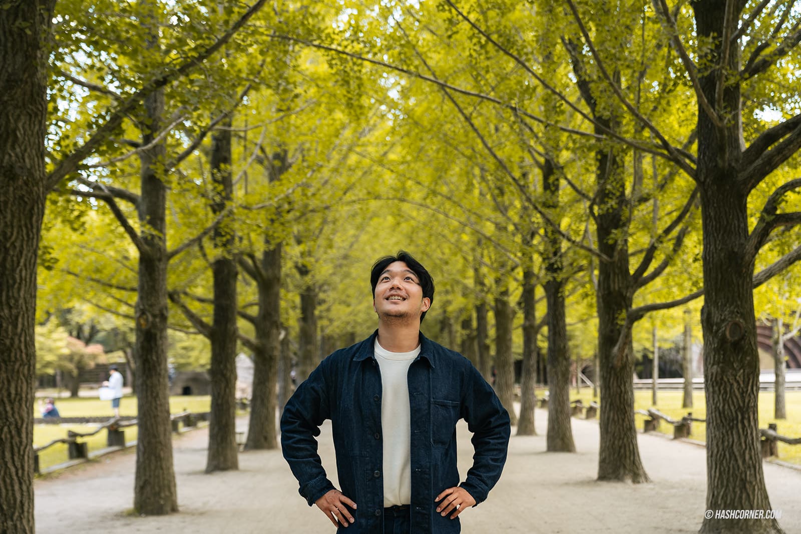 รีวิว เกาะนามิ (Nami Island) x เกาหลี เที่ยวตามรอยเพลงรักสายลมหนาว – HashCorner รีวิว เกาะนามิ (Nami Island) X เกาหลี เที่ยวตามรอยเพลงรักสายลมหนาว – Hashcorner