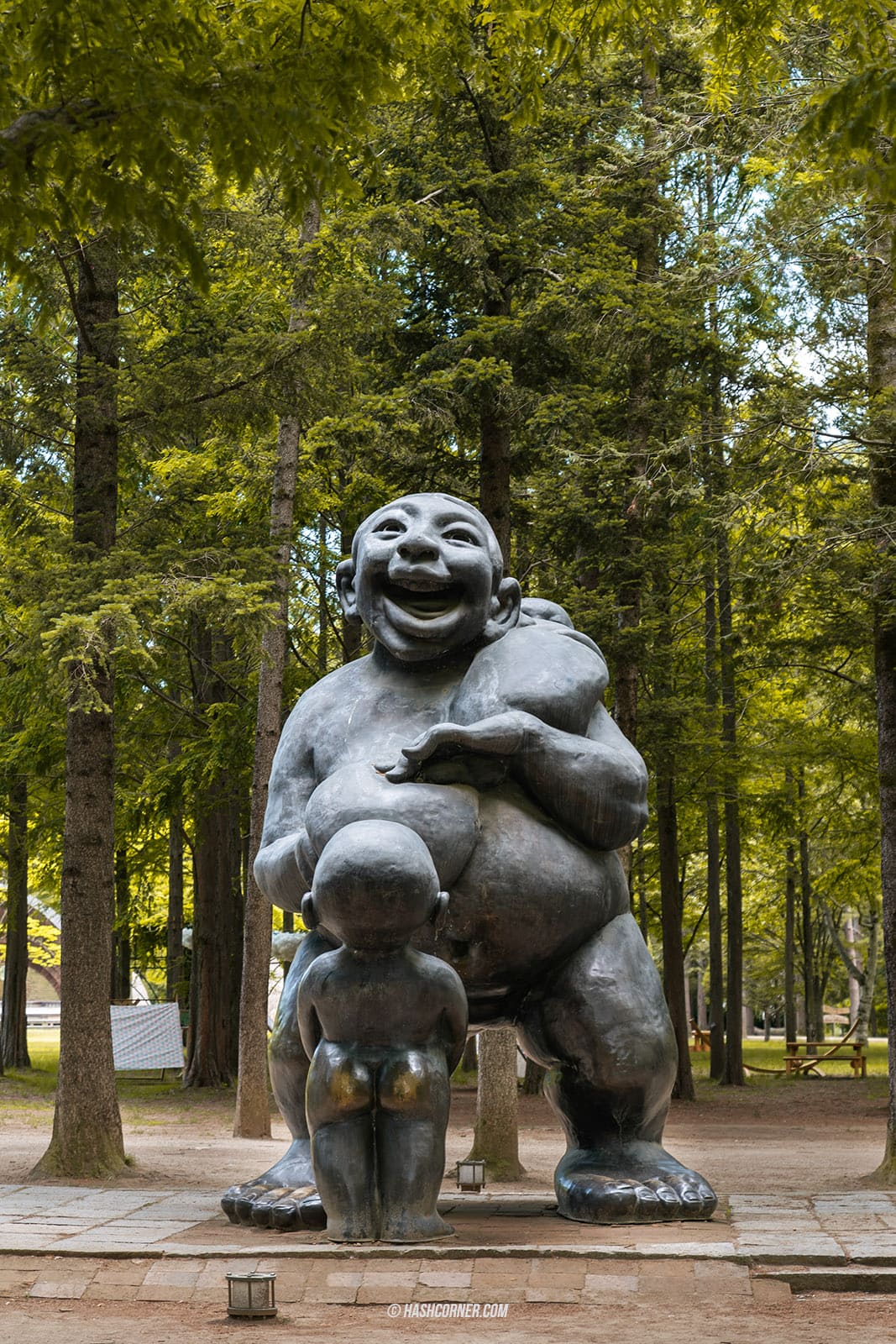 รีวิว เกาะนามิ (Nami Island) x เกาหลี เที่ยวตามรอยเพลงรักสายลมหนาว