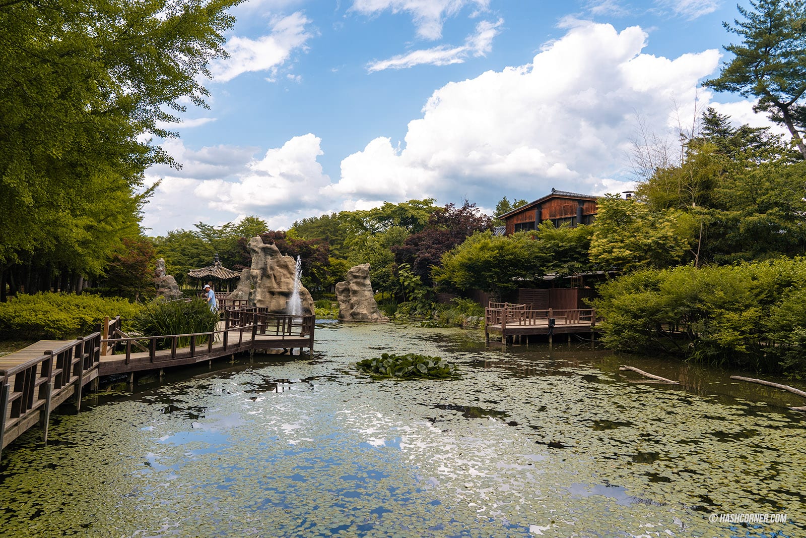 รีวิว เกาะนามิ (Nami Island) x เกาหลี เที่ยวตามรอยเพลงรักสายลมหนาว