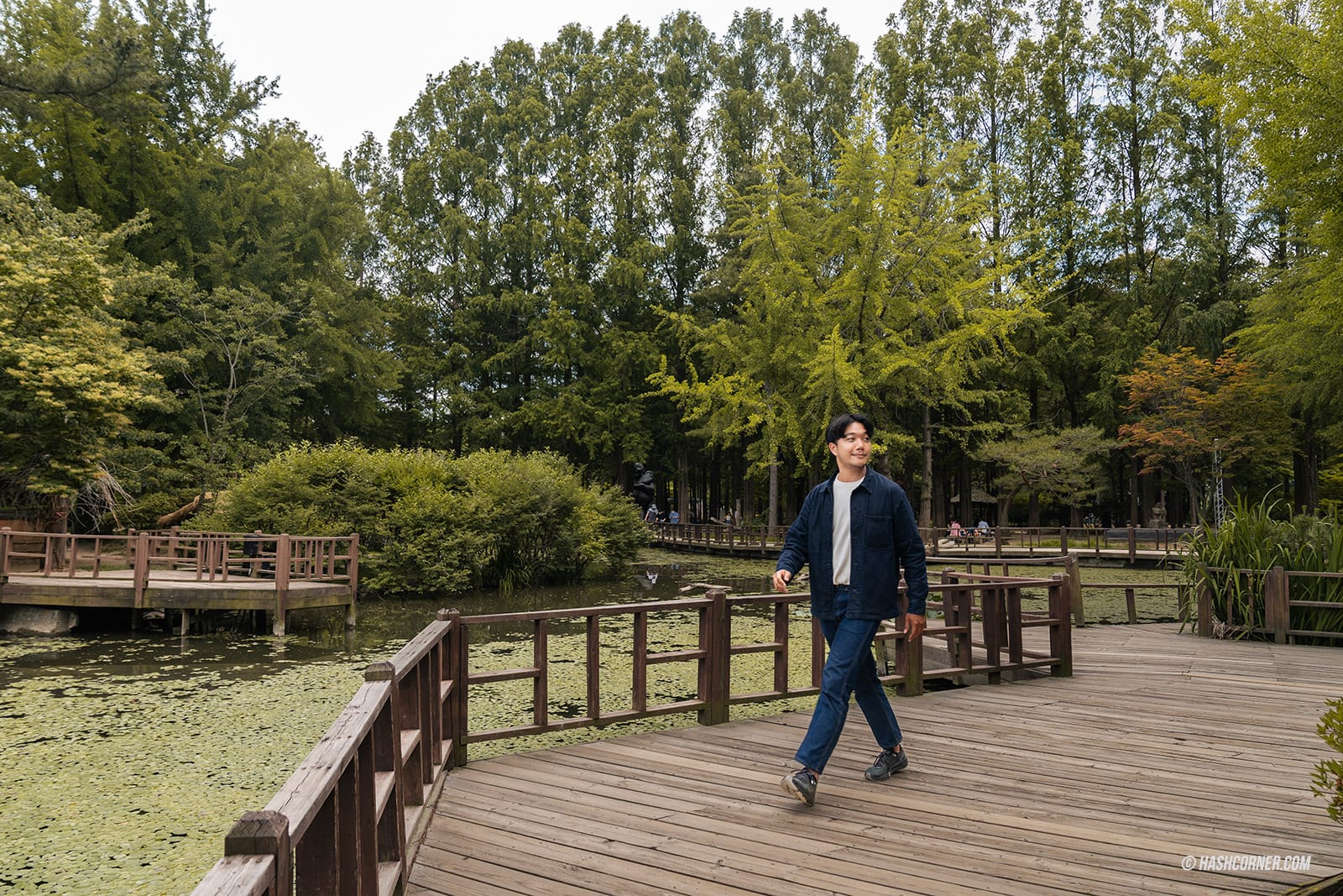 รีวิว เกาะนามิ (Nami Island) x เกาหลี เที่ยวตามรอยเพลงรักสายลมหนาว