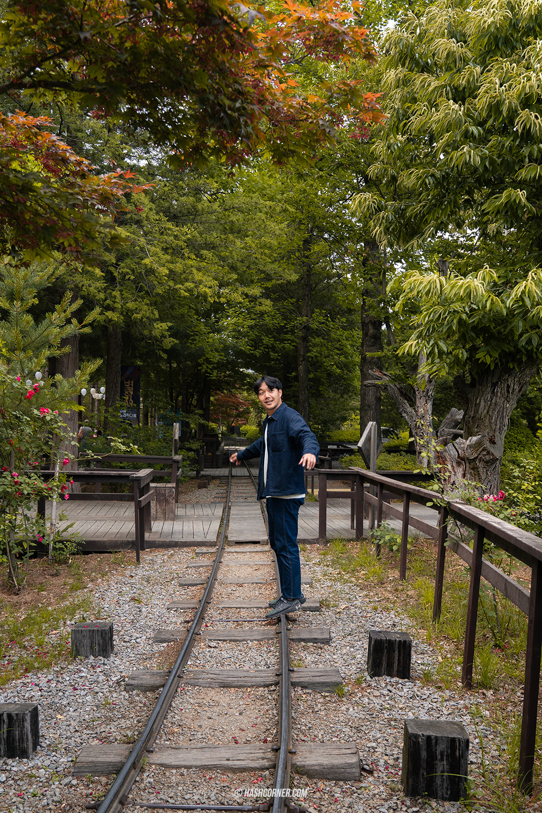 รีวิว เกาะนามิ (Nami Island) x เกาหลี เที่ยวตามรอยเพลงรักสายลมหนาว