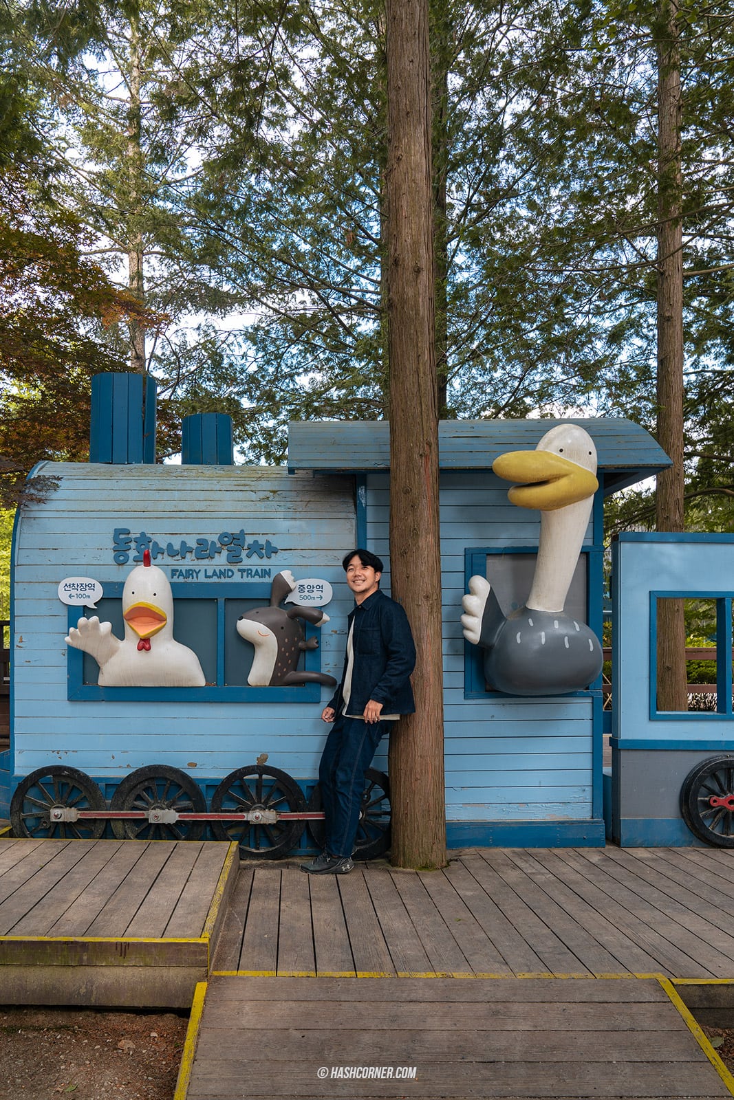 รีวิว เกาะนามิ (Nami Island) x เกาหลี เที่ยวตามรอยเพลงรักสายลมหนาว