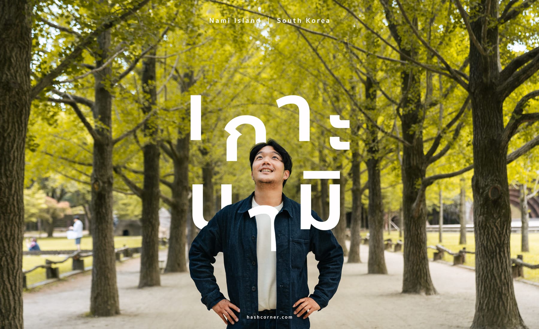 รีวิว เกาะนามิ (Nami Island) x เกาหลี เที่ยวตามรอยเพลงรักสายลมหนาว