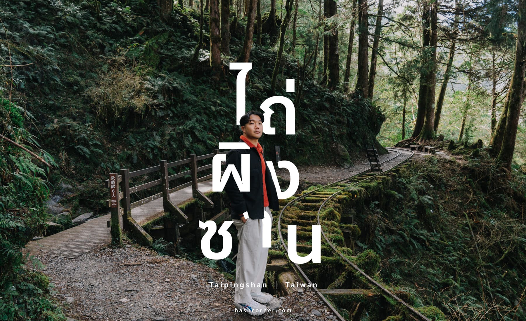 รีวิว ไถ่ผิงซาน (Taipingshan) x ไต้หวัน เที่ยวเดินป่าที่เงียบที่สุด