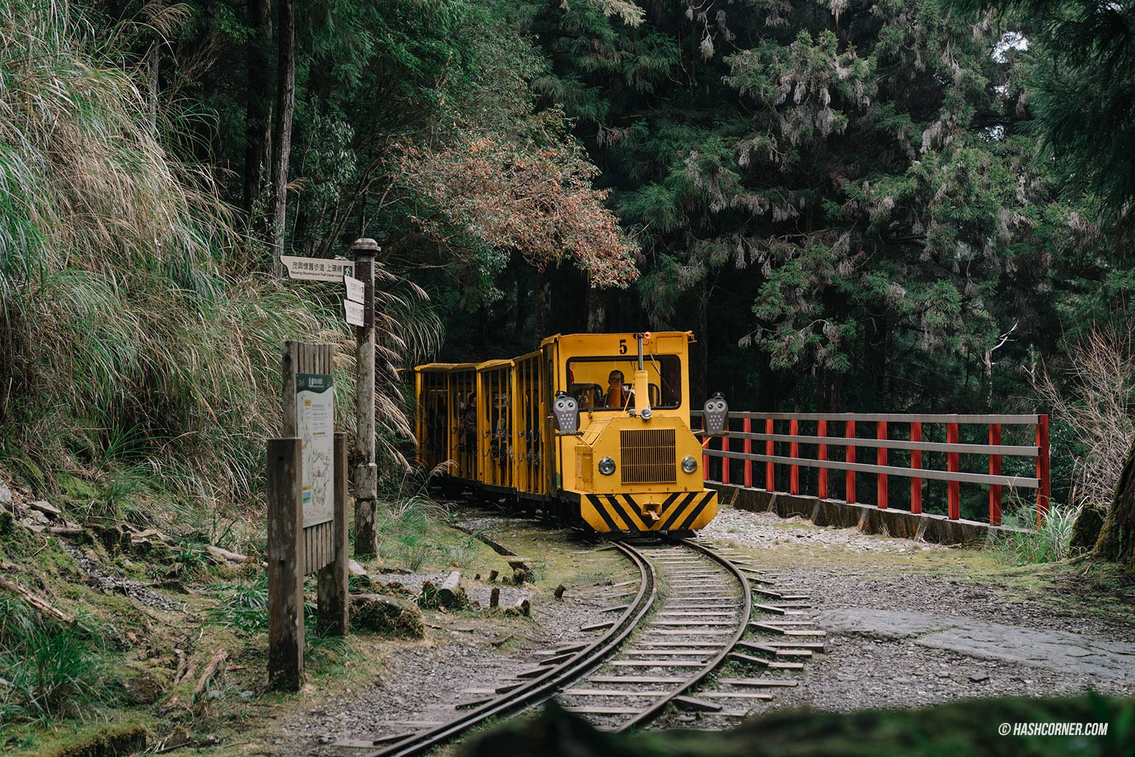รีวิว ไถ่ผิงซาน (Taipingshan) x ไต้หวัน เที่ยวเดินป่าที่เงียบที่สุด