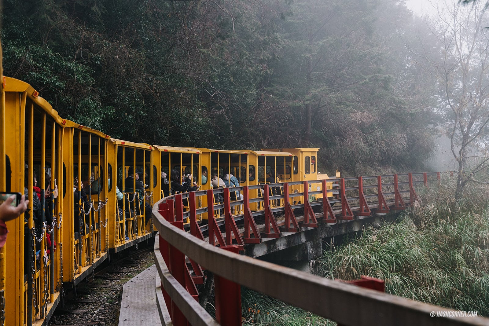 รีวิว ไถ่ผิงซาน (Taipingshan) x ไต้หวัน เที่ยวเดินป่าที่เงียบที่สุด