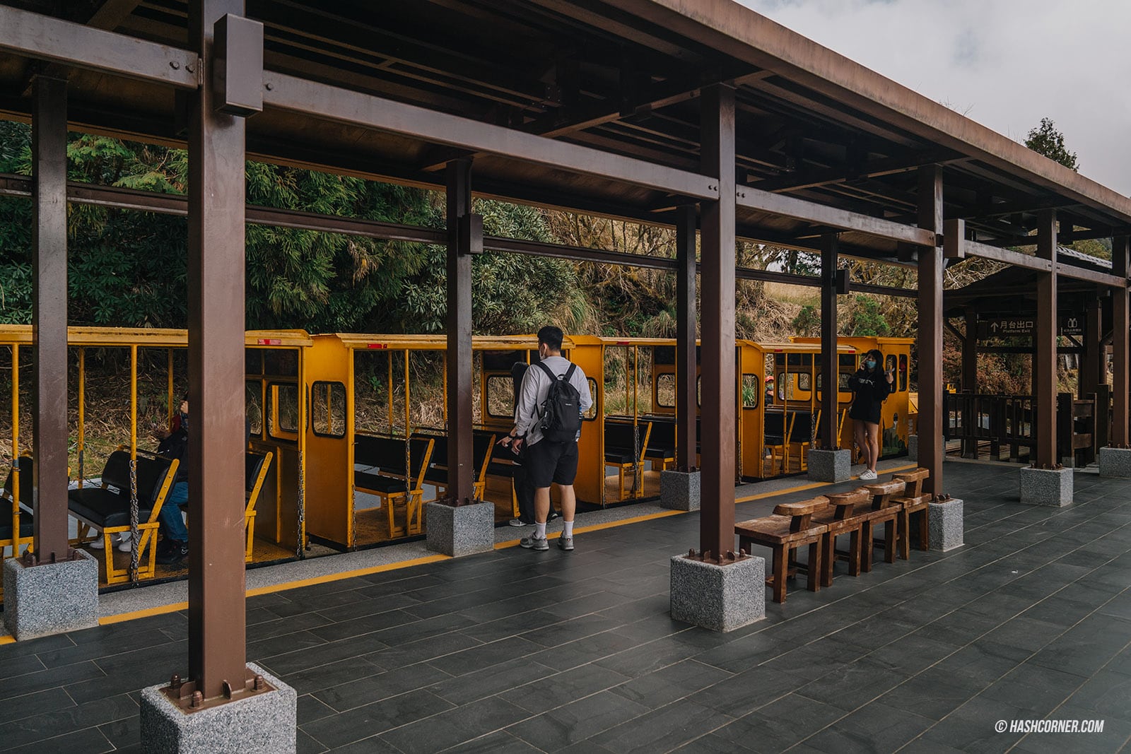 รีวิว ไถ่ผิงซาน (Taipingshan) x ไต้หวัน เที่ยวเดินป่าที่เงียบที่สุด