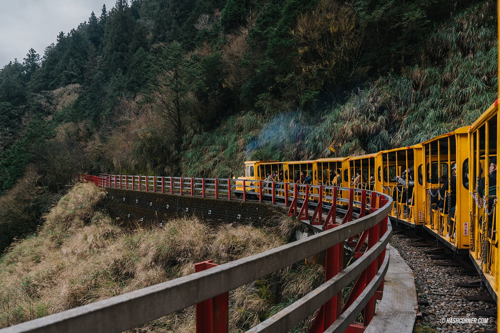 รีวิว ไถ่ผิงซาน (Taipingshan) x ไต้หวัน เที่ยวเดินป่าที่เงียบที่สุด