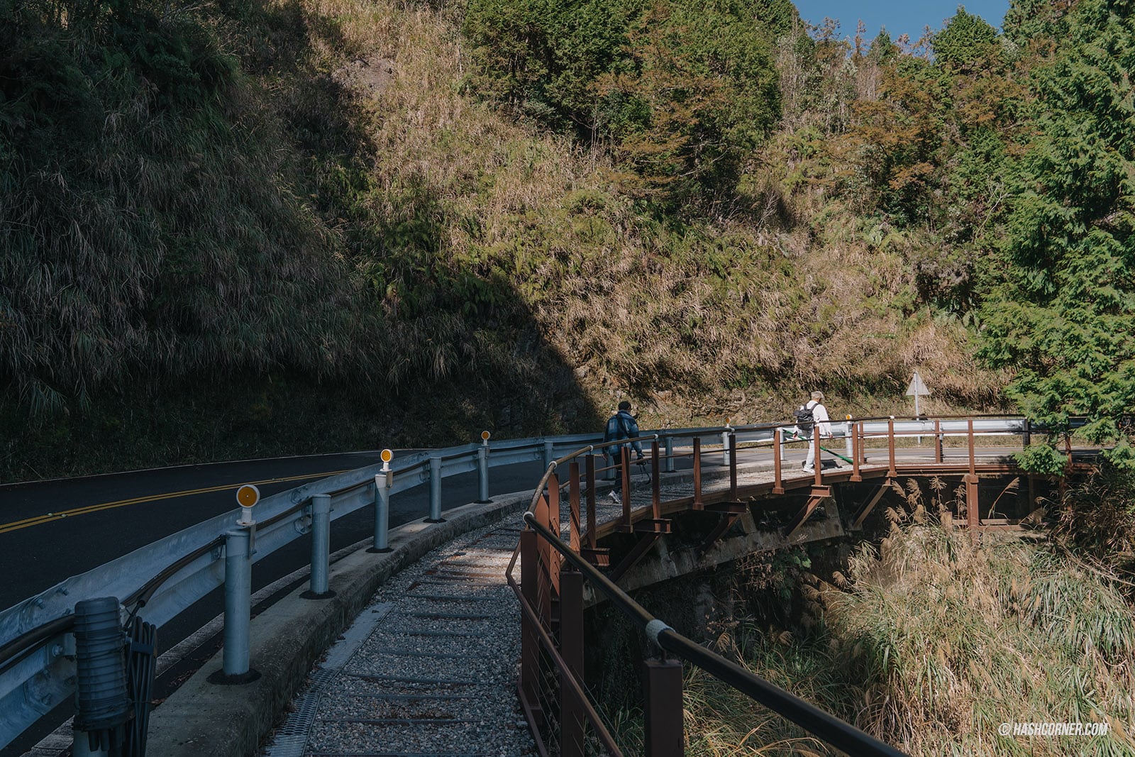 รีวิว ไถ่ผิงซาน (Taipingshan) x ไต้หวัน เที่ยวเดินป่าที่เงียบที่สุด