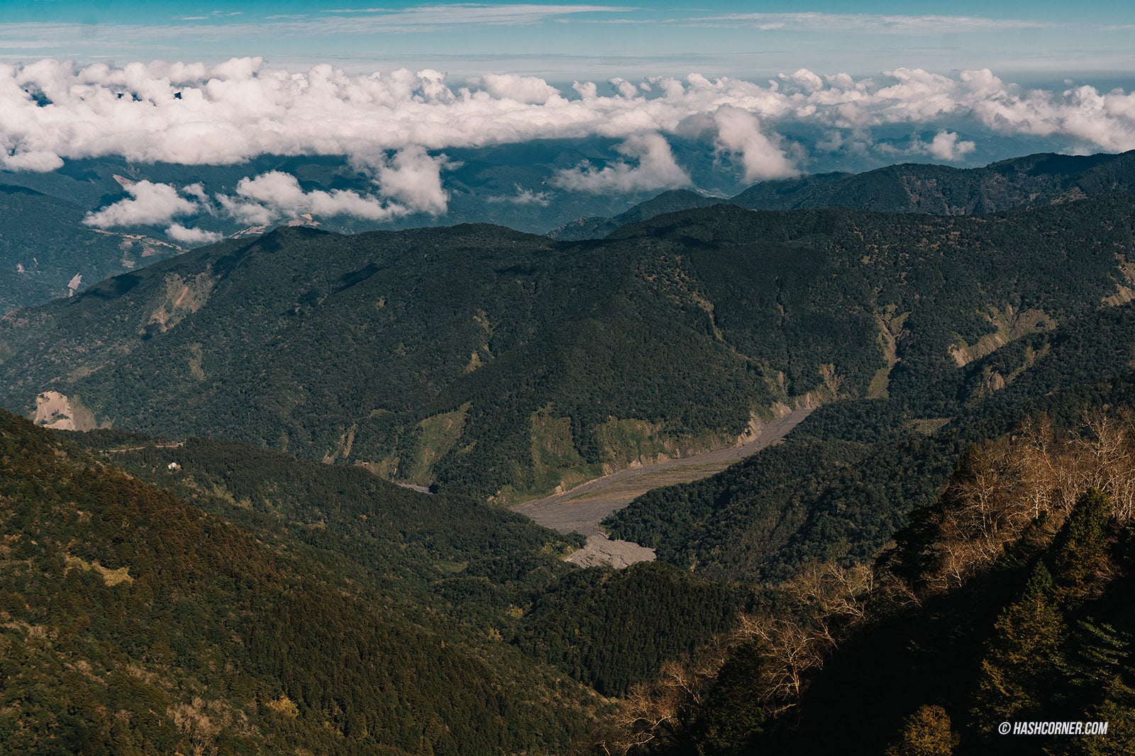 รีวิว ไถ่ผิงซาน (Taipingshan) x ไต้หวัน เที่ยวเดินป่าที่เงียบที่สุด