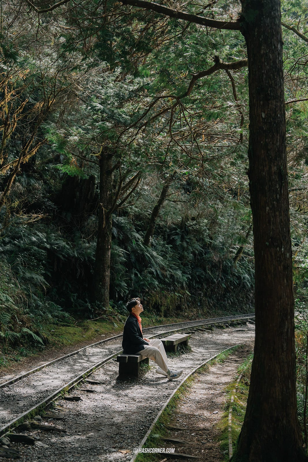 รีวิว ไถ่ผิงซาน (Taipingshan) x ไต้หวัน เที่ยวเดินป่าที่เงียบที่สุด