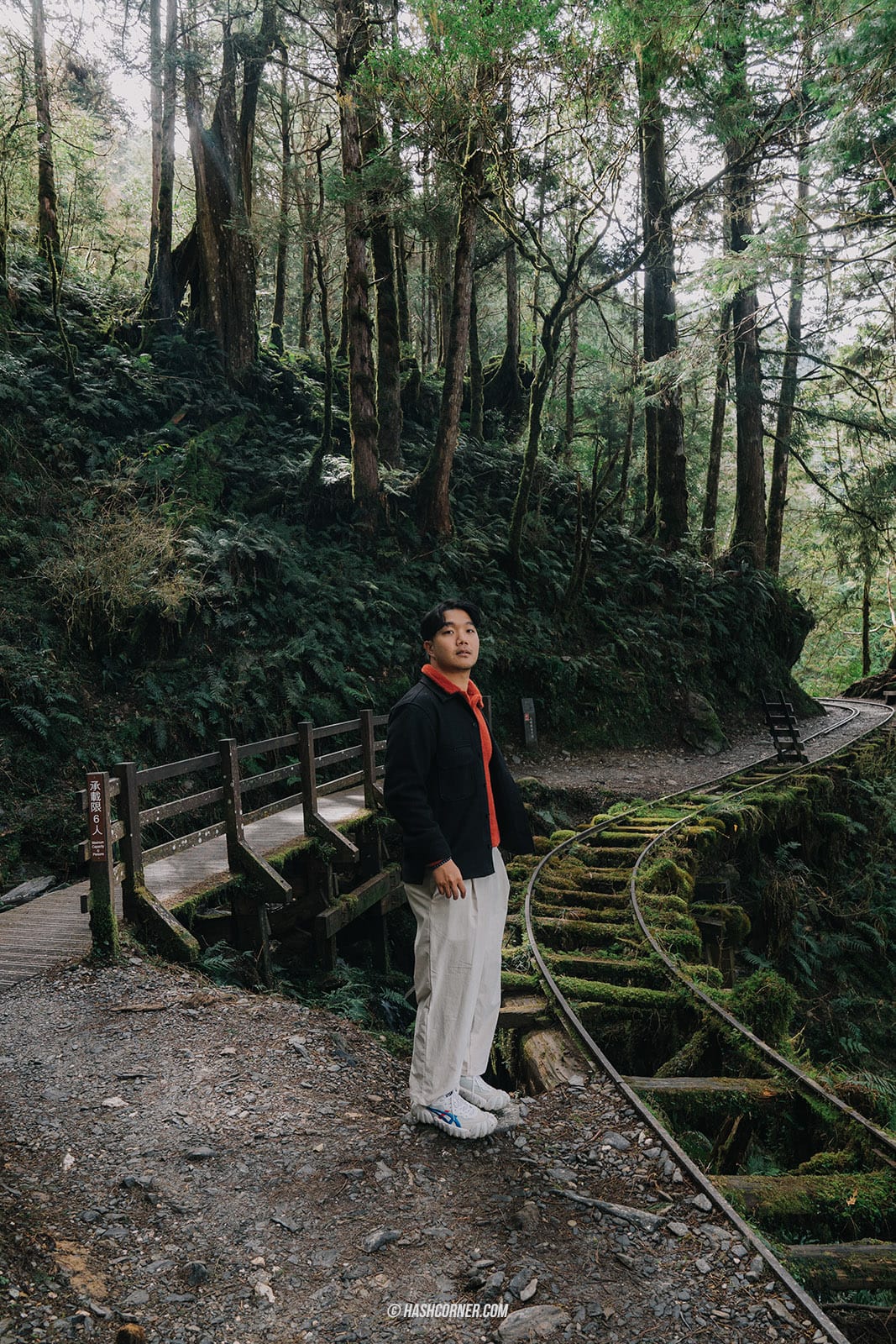 รีวิว ไถ่ผิงซาน (Taipingshan) x ไต้หวัน เที่ยวเดินป่าที่เงียบที่สุด