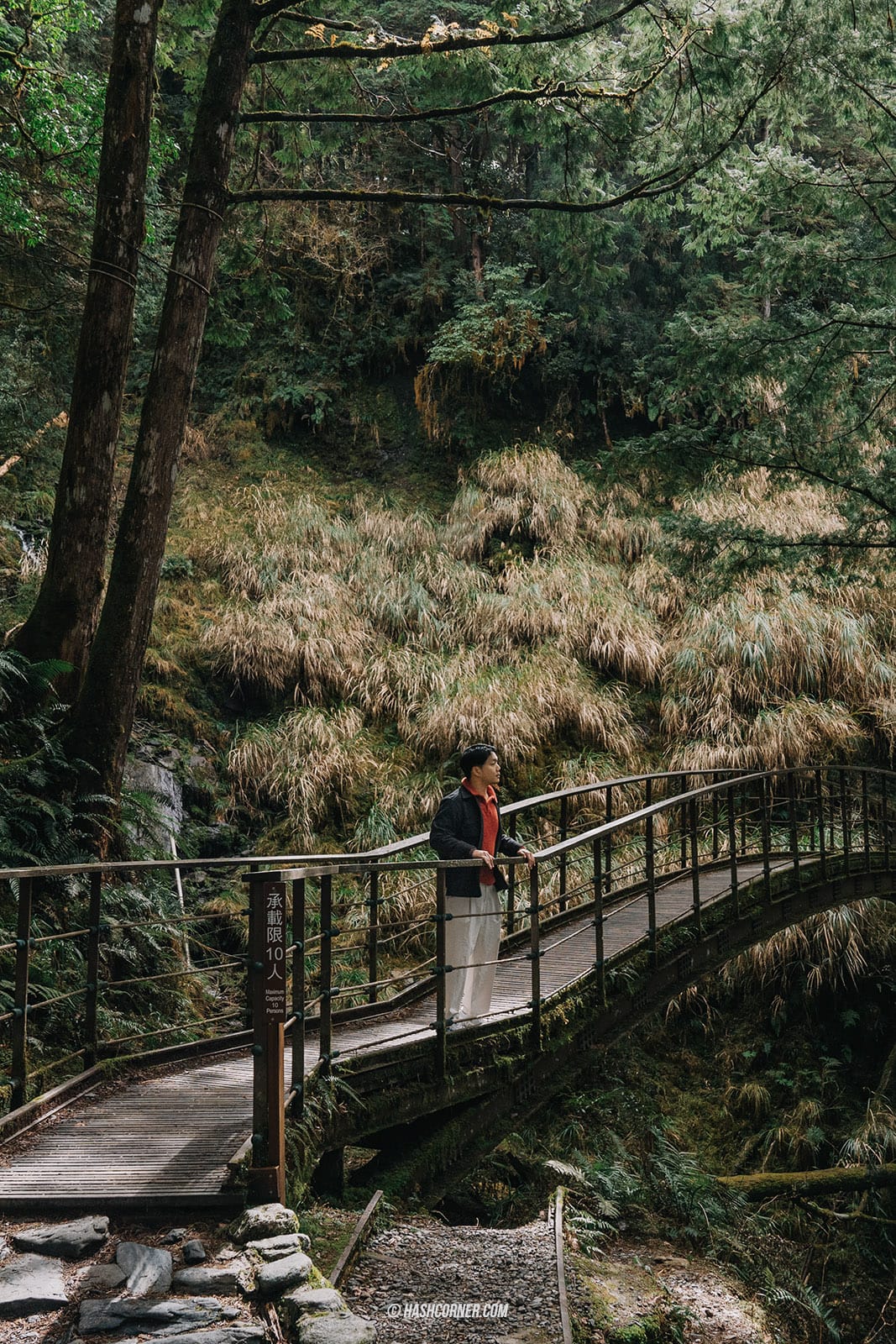 รีวิว ไถ่ผิงซาน (Taipingshan) x ไต้หวัน เที่ยวเดินป่าที่เงียบที่สุด