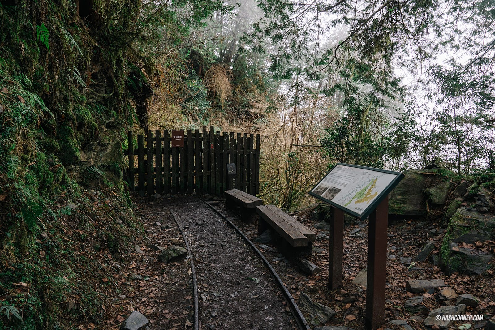 รีวิว ไถ่ผิงซาน (Taipingshan) x ไต้หวัน เที่ยวเดินป่าที่เงียบที่สุด