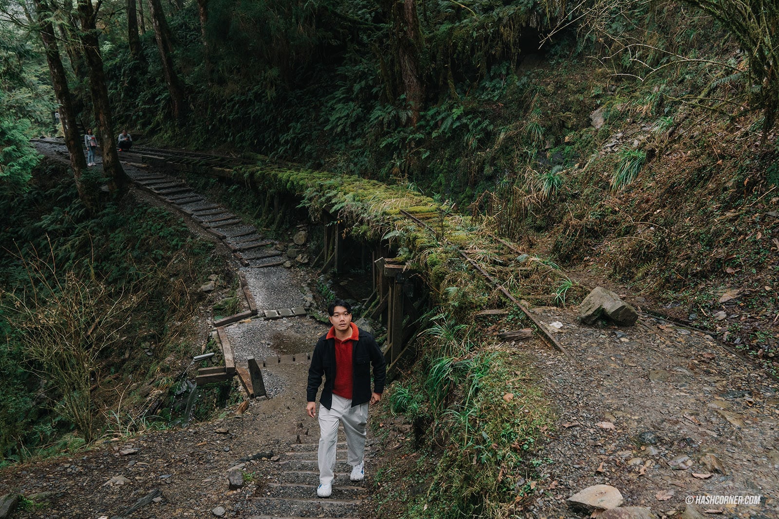รีวิว ไถ่ผิงซาน (Taipingshan) x ไต้หวัน เที่ยวเดินป่าที่เงียบที่สุด