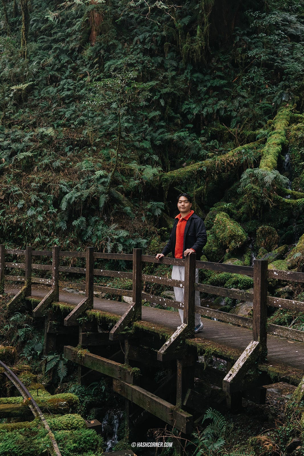 รีวิว ไถ่ผิงซาน (Taipingshan) x ไต้หวัน เที่ยวเดินป่าที่เงียบที่สุด