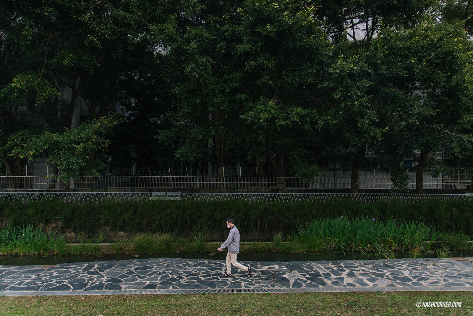 รีวิว เถาหยวน (Taoyuan) x ไต้หวัน เที่ยวชิลๆ กับเมืองแสนน่ารัก 