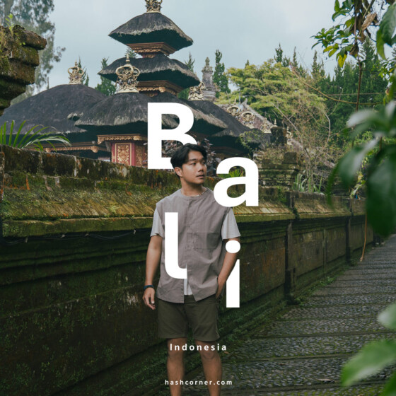 Bali Indonesia: The Ultimate Travel Guide to Temples, Rice Terraces & Beaches