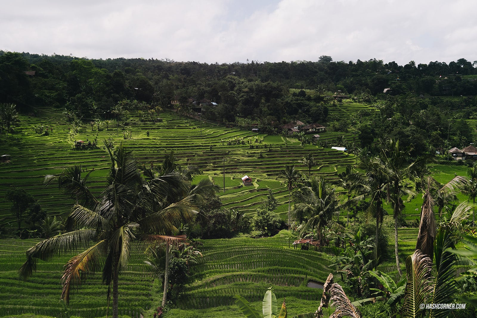 รีวิว บาหลี (Bali) x อินโดนีเซีย เที่ยวจัดเต็มครบทุกแลนด์มาร์ค