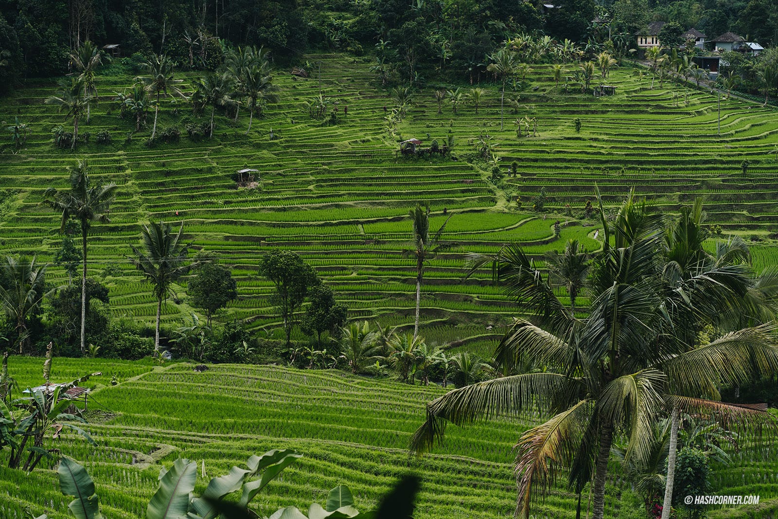 รีวิว บาหลี (Bali) x อินโดนีเซีย เที่ยวจัดเต็มครบทุกแลนด์มาร์ค